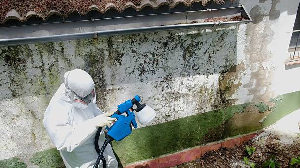 Top rated local Attic Mold Removal specialists in Ahoskie, NC